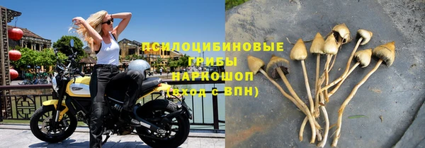 круглые Сосновый Бор
