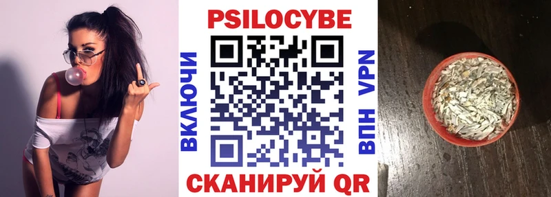 Псилоцибиновые грибы Psilocybe Рудня